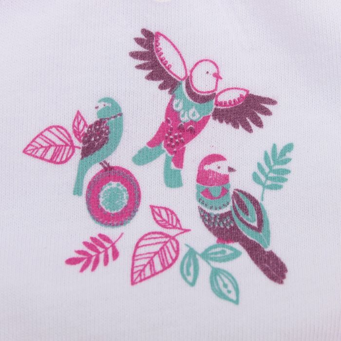 Набор трусов детских KAFTAN "Птицы" 2 шт, рост 98-104 (30), 3-4 года 100% хлопок