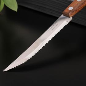 

Нож кухонный с зубчиками Tramontina Tradicional для стейка, лезвие 11,5 см, сталь AISI 420