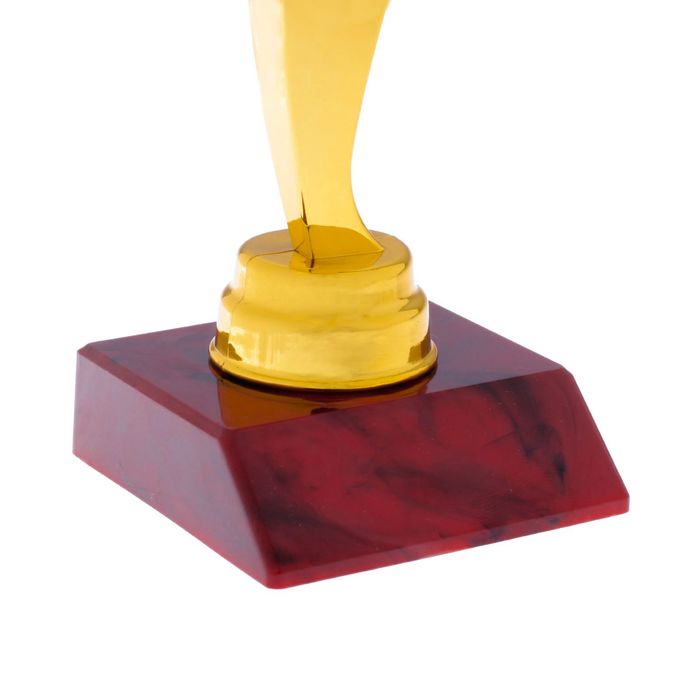 Фигура 3 звезды "Золотой руководитель"