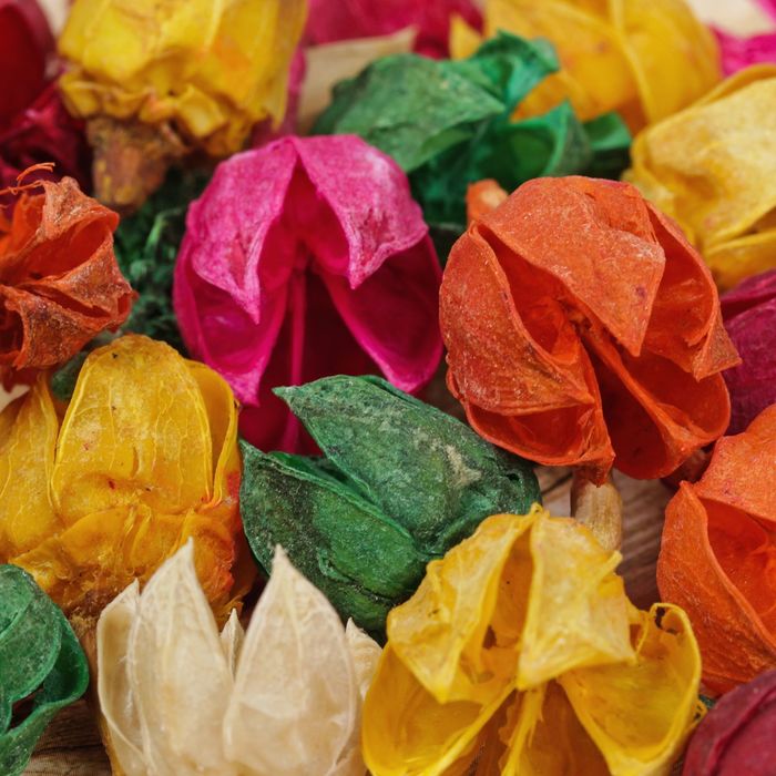 Сухие цветы кунжута, 15 гр, цвета МИКС