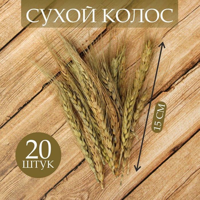 

Сухой колос пшеницы, набор 20 шт.