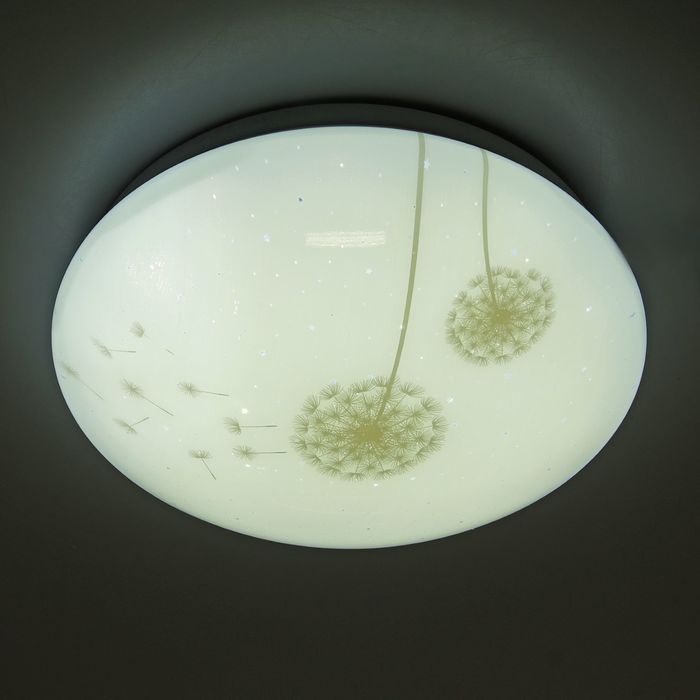 Светильник светодиодный "Одуванчик" 16W LED 6000K 25x25x7см