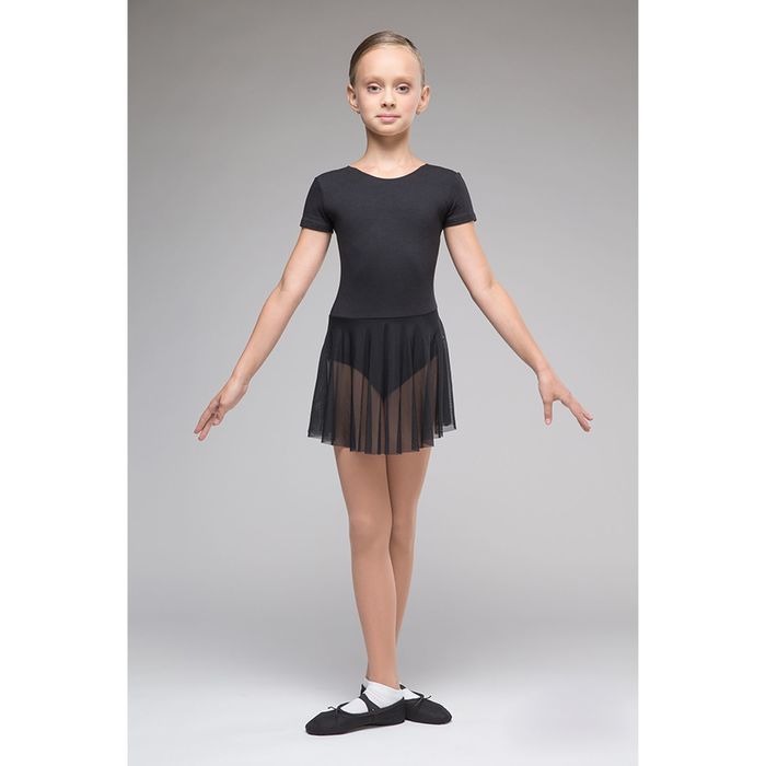 Костюм гимнастический "Мастер-класс", с коротким рукавом, юбка-сетка, размер 26, цвет белый