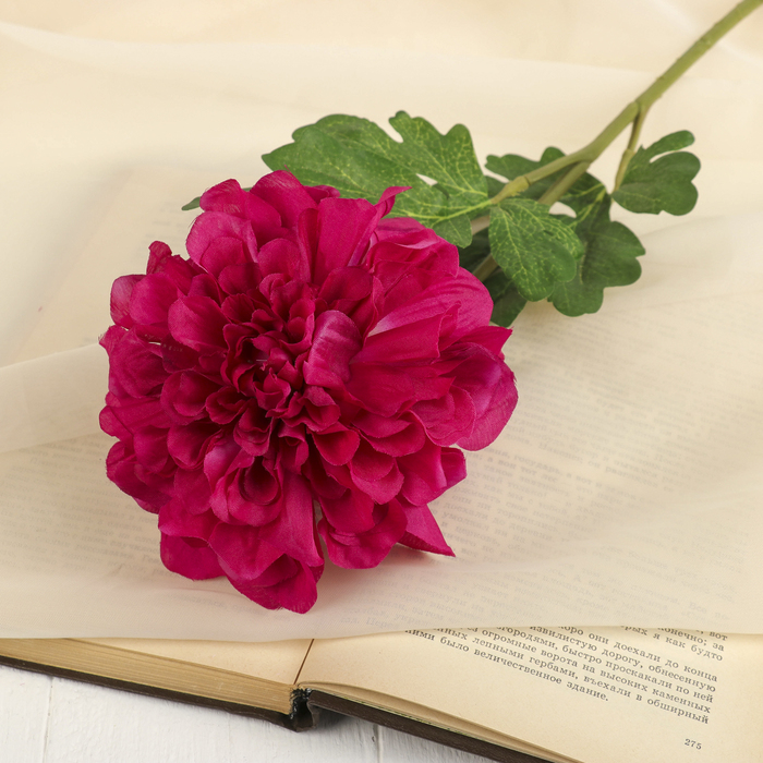 Цветок искусственный "Георгин Сан Мартин" 13*73 см, малиновый