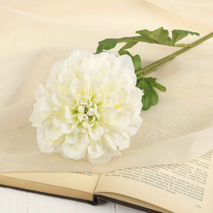 Цветок искусственный "Георгин Сан Мартин" 13*73 см, белый