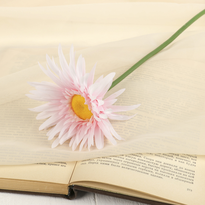 Цветок искусственный "Астра Янина" 11*57 см, бело-розовый