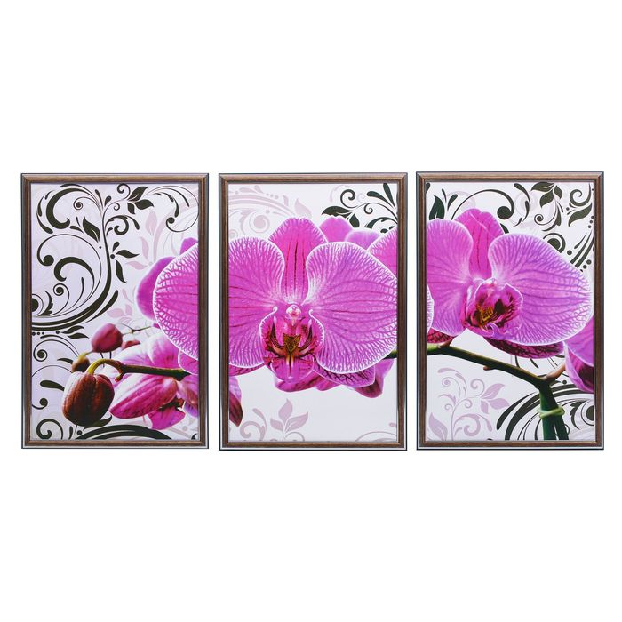 Модульная картина в раме "Каттлея розовая", 50×100 см, 33×50 — 3 шт.