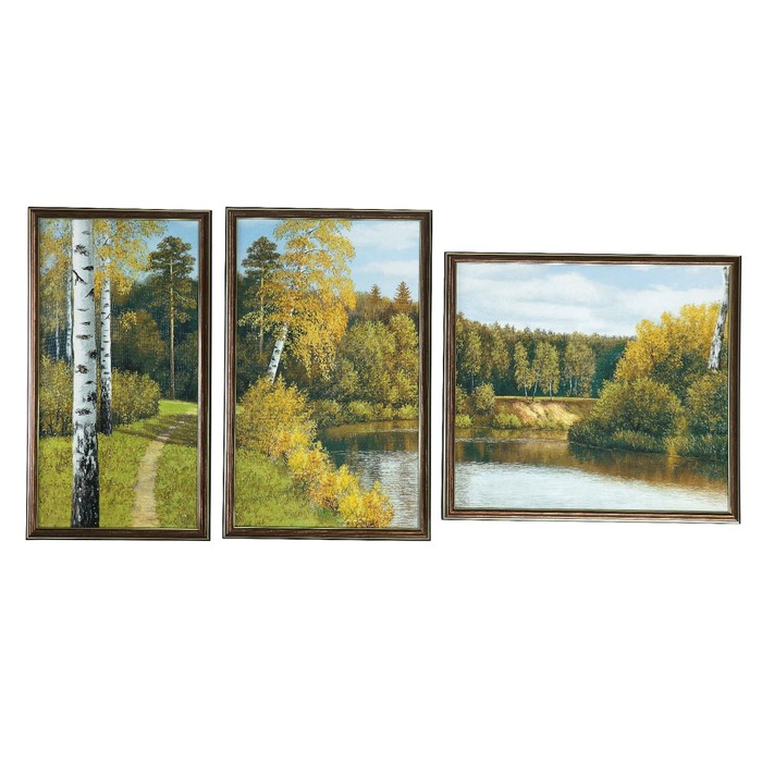 Модульная картина в раме "Природа", 50×100 см, 26×50, 30×50, 44×40