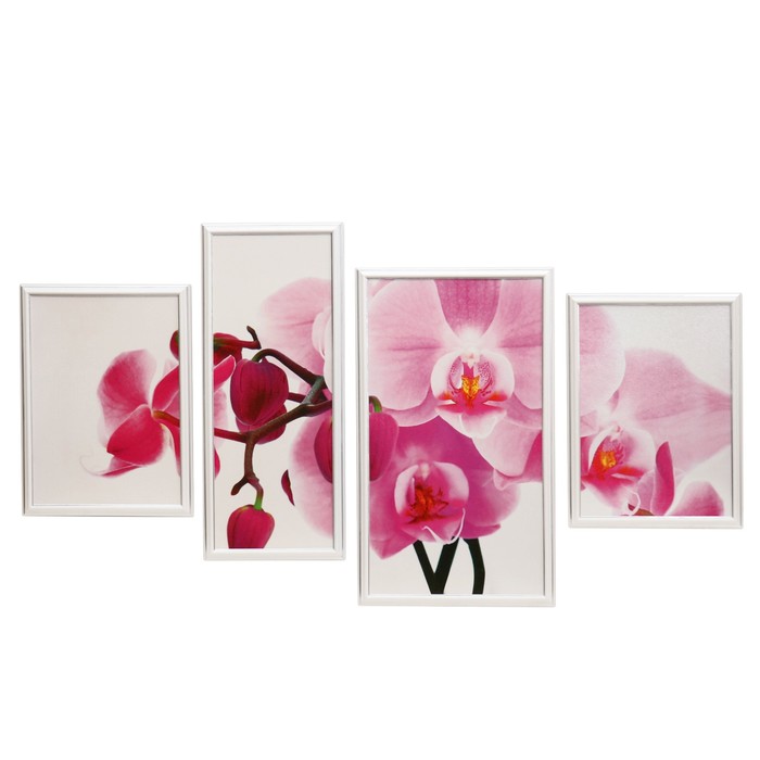 Модульная картина в раме "Цветы орхидеи"