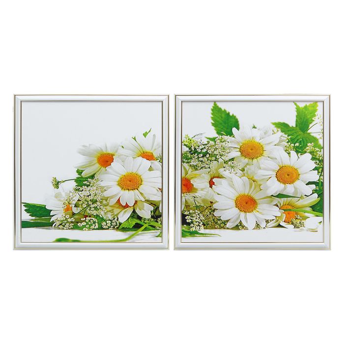 Модульная картина в раме "Ромашки"