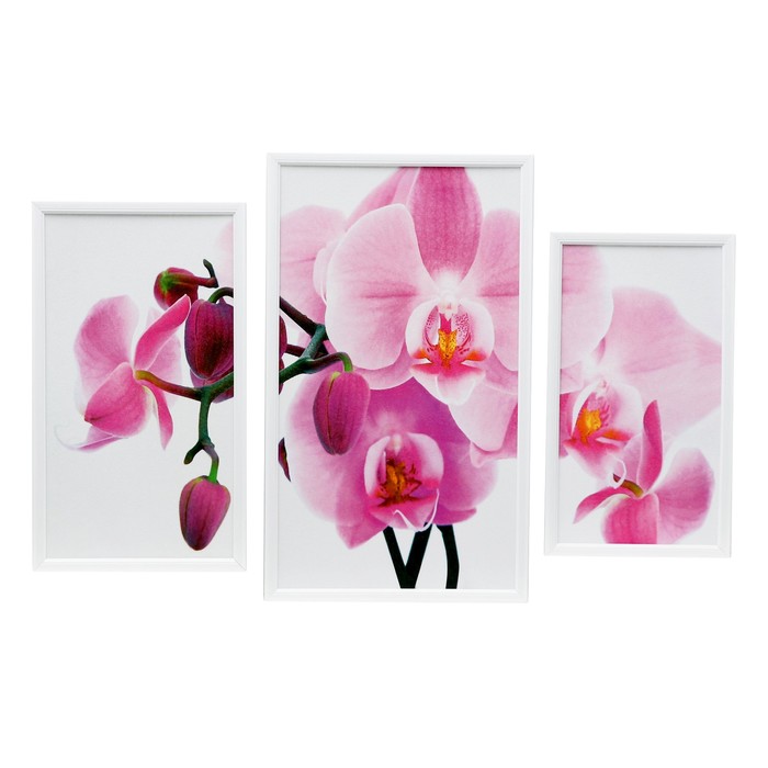 Модульная картина в раме "Орхидея"