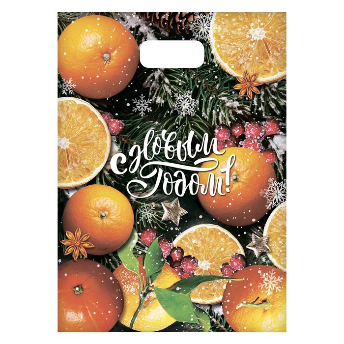 Пакет подарочный полиэтиленовый «Пряные мандарины», 23 × 29,5 см