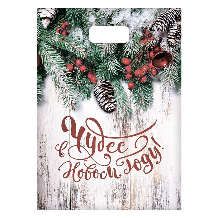 Пакет подарочный полиэтиленовый «Зимнее украшение», 17 × 20 см