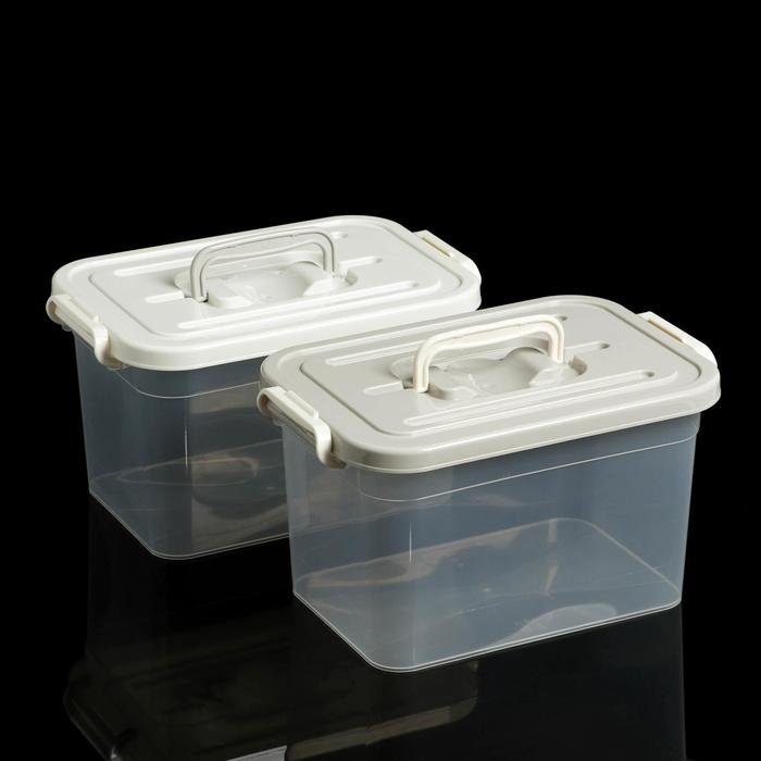 Контейнер для хранения 6,5 л, 31х20х18 см, цвет МИКС