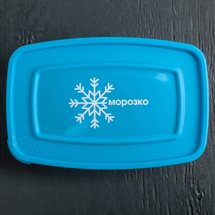 Контейнер для замораживания продуктов 700 мл "Морозко", цвет голубой