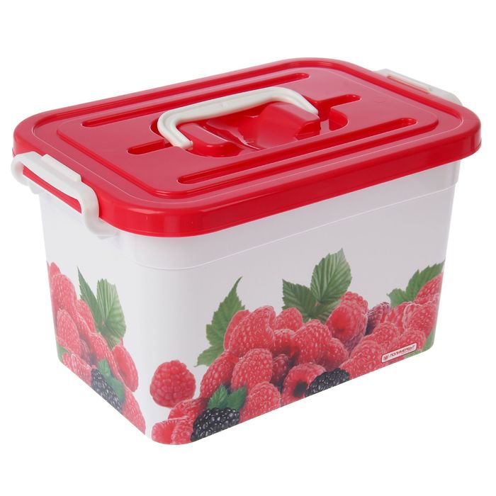 Контейнер для хранения 6,5 л "Малина"
