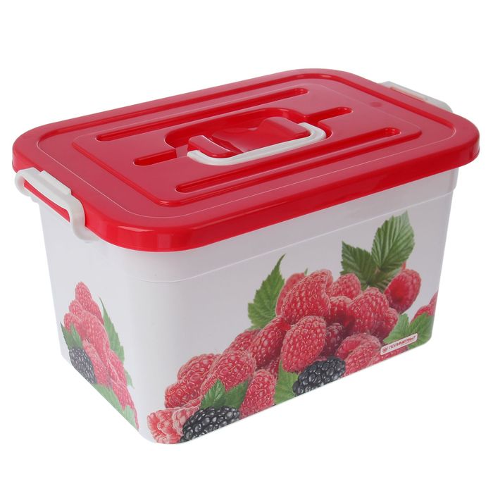 Контейнер для хранения 10 л "Малина"