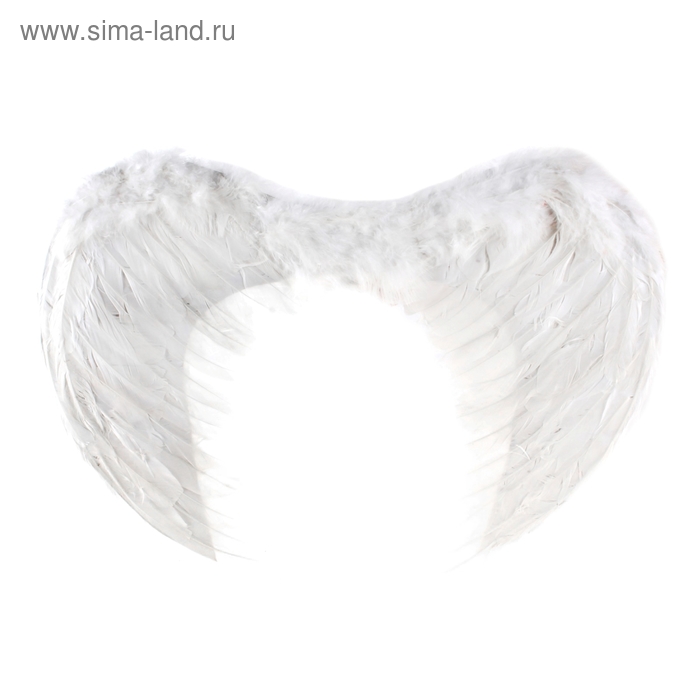 Крылья ангела, 55×40 см, цвет белый