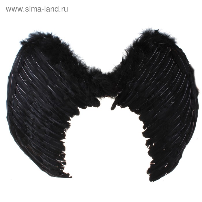 фото Крылья ангела, на резинке, 55х70 см, чёрные страна карнавалия