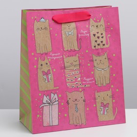 Пакет подарочный крафтовый вертикальный, упаковка, «Милые котики», ML 23 х 27 х 8 см