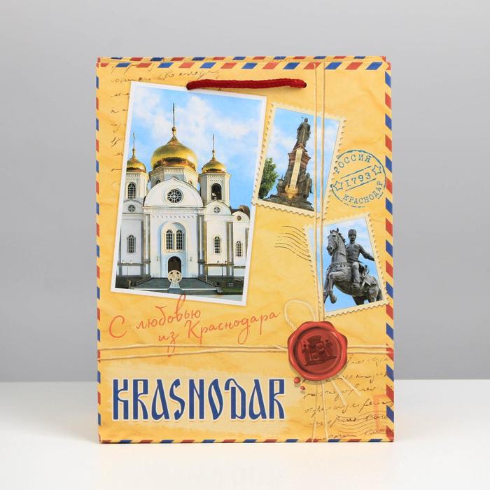 Пакет вертикальный МС «Краснодар», 18 х 23 х 8 см