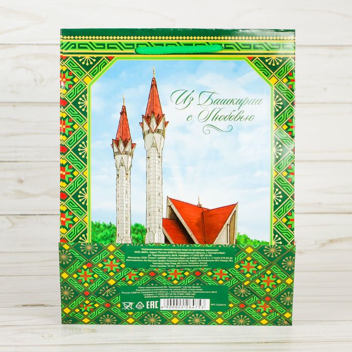 Пакет вертикальный МС «Башкирия»