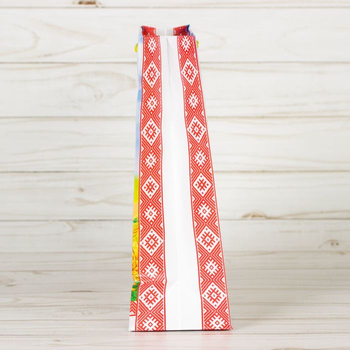 Пакет вертикальный МС «Беларусь»