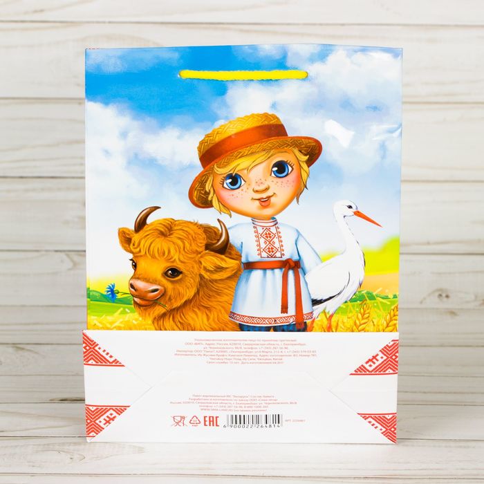 Пакет вертикальный МС «Беларусь»