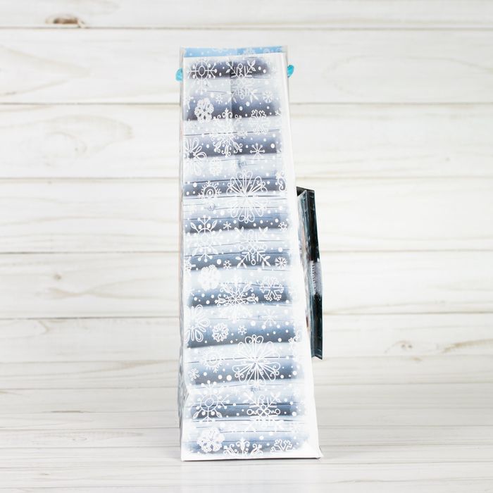 Пакет ламинированный с открыткой «Новогодняя сказка», 18 × 23 × 8 см