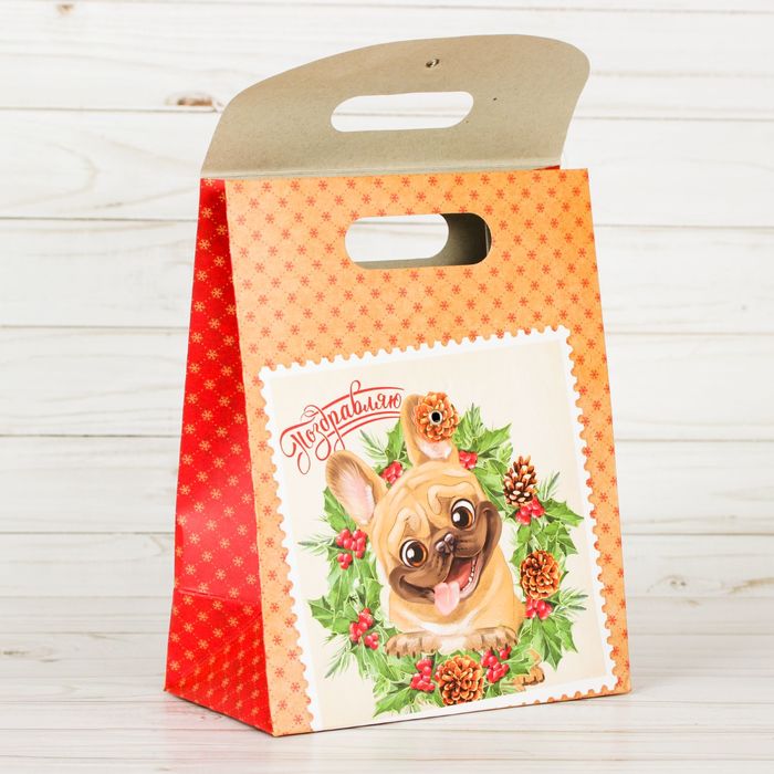 Пакет подарочный «Поздравляю!», 18 × 23 × 10 см