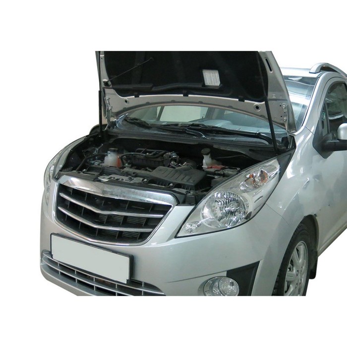 Упоры капота Rival для Ravon R2 2016-, 2 шт., A.ST.1301.1