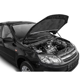 

Упоры капота Rival для Lada Granta 2011-2018, 2 шт., A.ST.6002.1