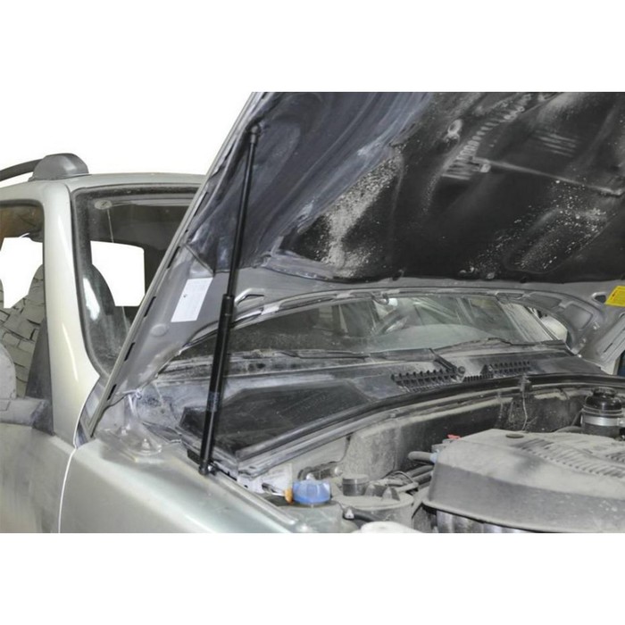 

Упоры капота АвтоУПОР для Chevrolet Niva 2002-2009 2009-н.в., 2 шт., UCHNIV011