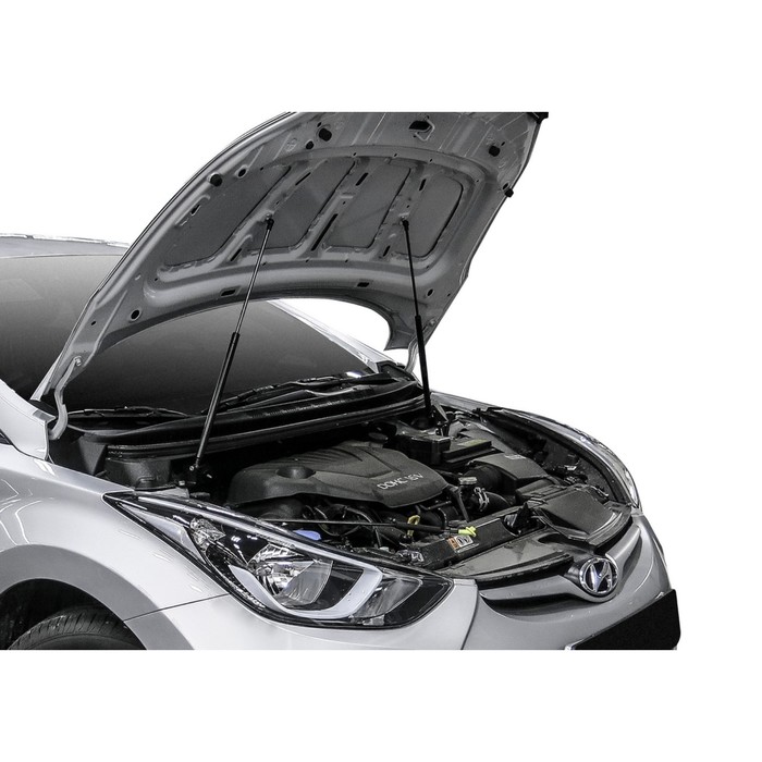 

Упоры капота АвтоУПОР для Hyundai Elantra V MD рестайлинг 2013-2016, 2 шт., UHYELA011