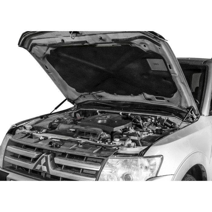 

Упоры капота АвтоУПОР для Mitsubishi Pajero IV 2006-2014 2014-н.в., 2 шт., UMIPAJ012