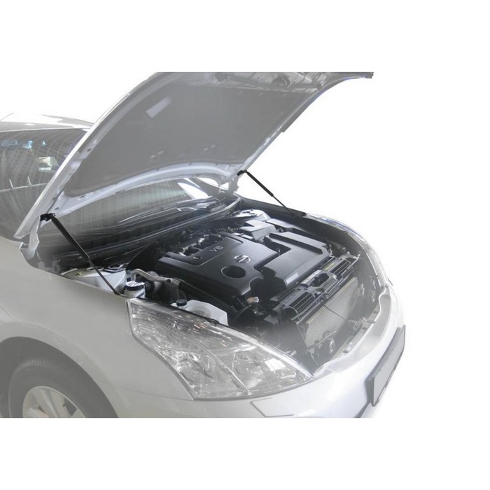 Упоры капота Автоупор для Nissan Teana 2008-2014, 2 шт., UNITEA012