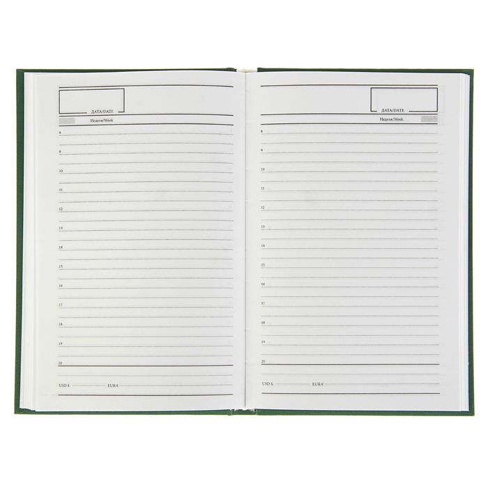 Ежедневник недатированный А5, 256 страниц, бумвенил, Calligrata, зелёный