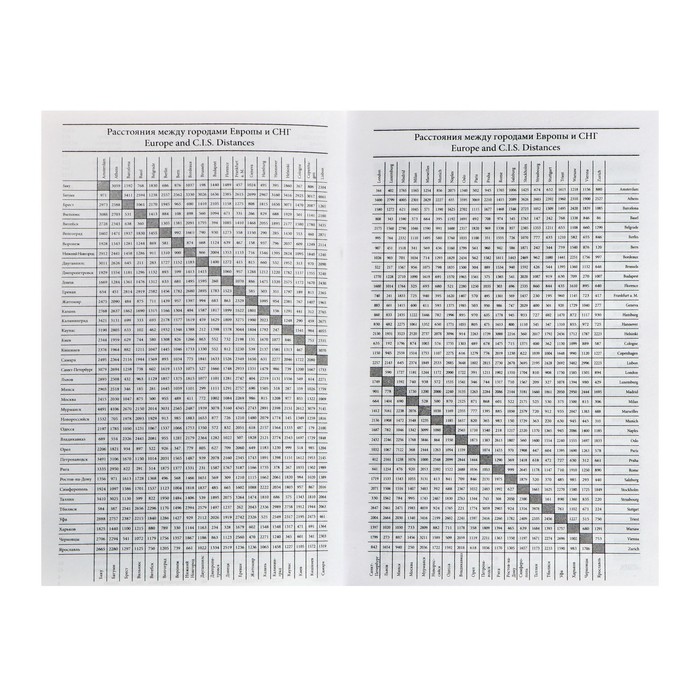 Ежедневник недатированный А5, 256 страниц, бумвинил, черный