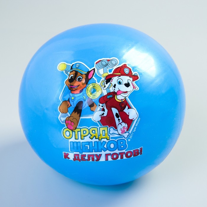 Щенячий патруль. Мяч детский "ОТРЯД ЩЕНКОВ" 22 см, 60 гр, цвета МИКС
