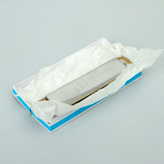 Губная гармошка Swan SW16 диатоническая