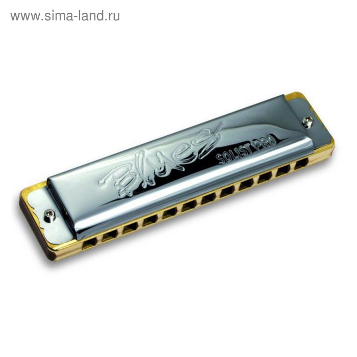 Губная гармошка Seydel Sohne 11602C Solist Pro 12 Steel C губная гармошка seydel sohne 60080 mini c