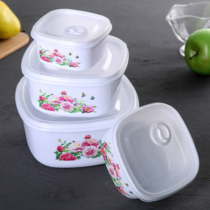 Набор ланч-боксов 4 шт "Пионы" квадратных 0,3/0,6/1/1,6 л 18х18х8,5 см