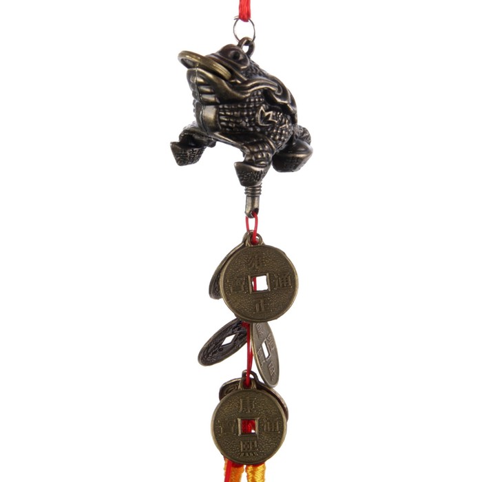 Подвеска металл "Жаба с монетой" 6 монет 22х5,5х3,3 см