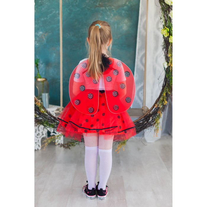 Карнавальный набор "Божья коровка", крылья, трехслойная юбка, 3-5 лет