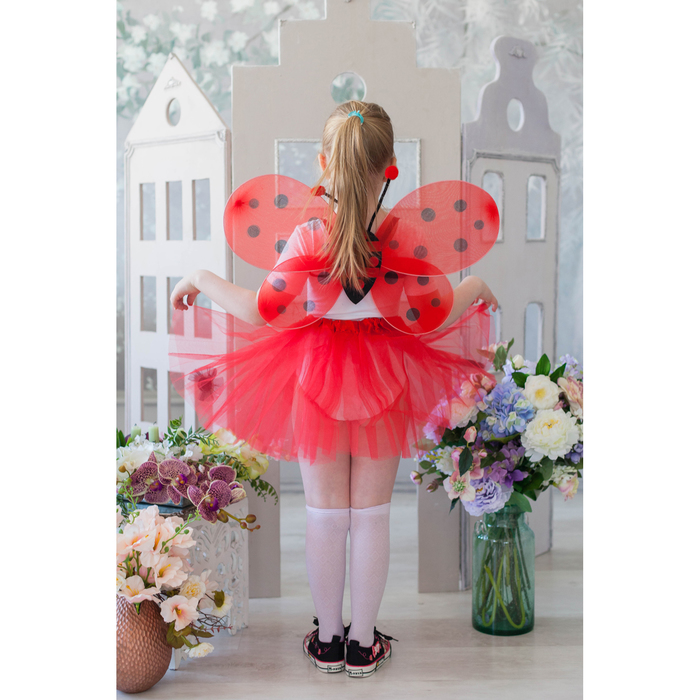 Карнавальный набор "Божья Коровка", 2 предмета: крылья, юбка двухслойная