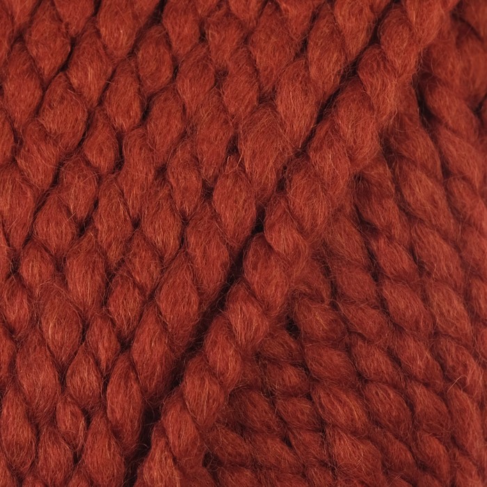Пряжа "Spaghetti" 25% шерсть, 75% акрил 60м/100гр (11214 терракот)