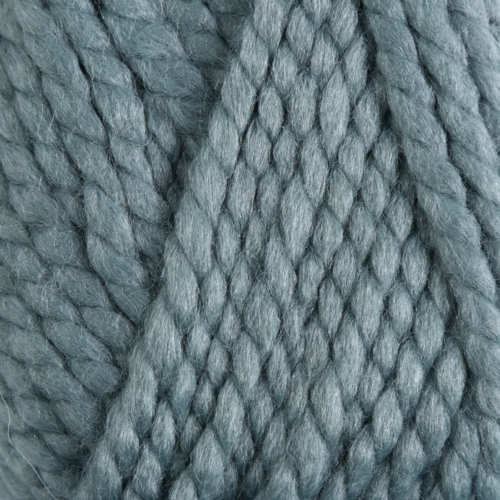 Пряжа "Spaghetti" 25% шерсть, 75% акрил 60м/100гр (10937 цвет плесени)