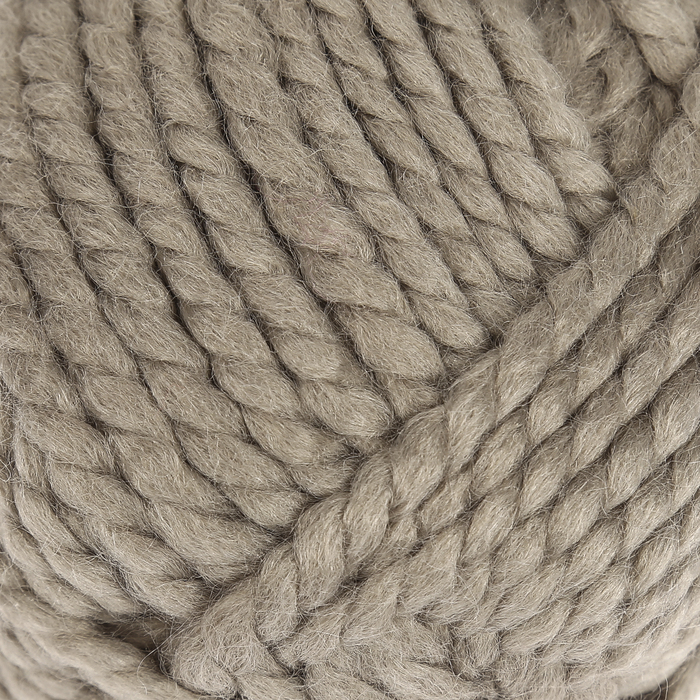 Пряжа "Spaghetti" 25% шерсть, 75% акрил 60м/100гр (10007 галька)
