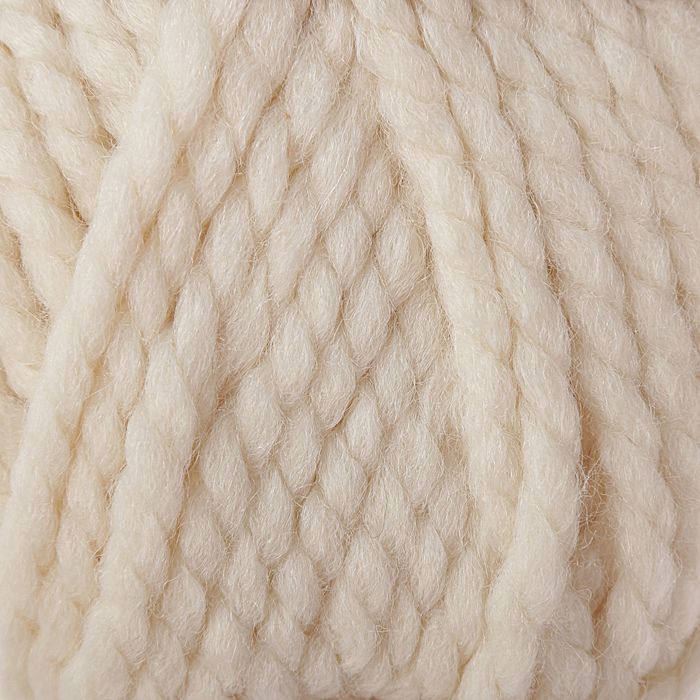 Пряжа "Spaghetti" 25% шерсть, 75% акрил 60м/100гр (288 слоновая кость)