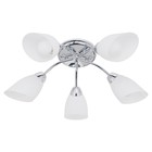 5 ламп 5 ламп